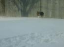 Christmas 2007 - First Time In Snow!
