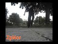 zpl4ors-heeltoe-tutorial.html