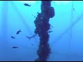 PROTECT OUR WETLANDS PROTECT OURSELVES VIDEO COMPETITION