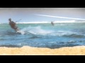 Kitesurf - Digg This !