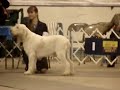MOV09009