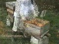 beekeeper dan beekeeper dan