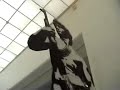 NUART-2007-BLEK-LE-R
