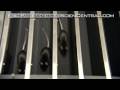 Muscular Dystrophy Drug