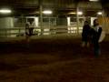 151st Crapaud Tournament Round 2 Fight 4