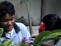 Among the sky production