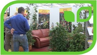 Lubera am Plantarium im Boskoop Holland