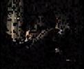 o8c Hodon�n na plese 2000