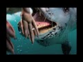 Polar Obsession (National Geographic)