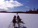 Sled Cruising on Frozen Lake 1