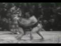 Vintage Budo