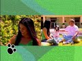 Este bicho � o bicho - dogue alem�o