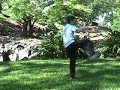 Fast T'ai Chi Ch'uan, Dong Style Condensed T'ai Chi Ch'uan