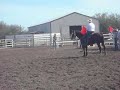 Sandys Memory Card 002