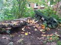 MAN 10t milgl und Fuchs im Gel�nde