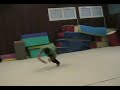 Flow Sampler 3