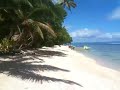 what fiji looks like