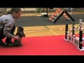 Winds Great Champion Xawi Dirlaczi - Danmarksmesterskab 2010 Elite lige