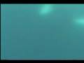 videos de Diving with Two Humpbacks with Ingo Vollmer