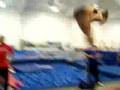 videos de tumblig