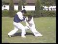 洪敦品 CHINESE kongfu  螳螂拳 武当 少林 Tanglang Wushu GongFu 武术 功夫
