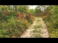 Frnaza in jesenska narava - La fornace e la natura autunnale