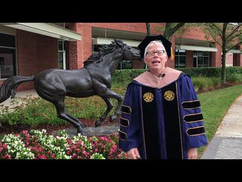 Welcome to the Stevenson University Online Fall Semester