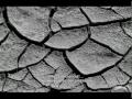 En este video se presenta el problema del uso ineficiente del agua en las actividades agricolas en México, sus principales causas y así como algunas propuestas para su solución. 