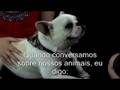 Shanna Moakler - Peta - Legendado