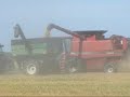 Castle Farms Wheat Harvest 2008 Castle Farms Wheat Harvest 2008