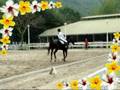 videos de IRC Dressage Test Level 3---Corliss