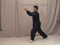 Taiji: Sun Style Tai Chi