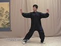 Taiji: Sun Style Tai Chi