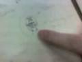 clases-de-historia