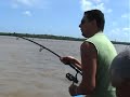 vissen suriname