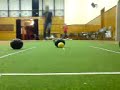 Superb bowling + Donal
