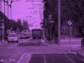La Pegatina - Despierto