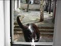 Trautes Heim Glück allein Trautes Heim Glück allein