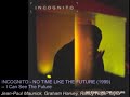 INCOGNITO - I Can See The Future (1999)