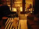 stoere Daicky