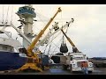SUBSECRETARIA DE PESCA A MANTA