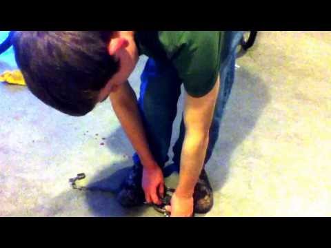 how to set duke trap