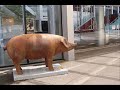 Opera pig