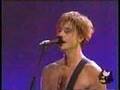 Bush - Little Things - Woodstock 99