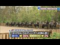 英王室結婚式まで2週間 騎兵隊の準備風景公開(11/04/16) ケイト・ミドルトン