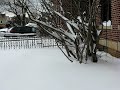 Snow - day after 12-20-09.AVI