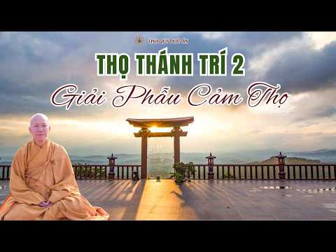 Tinh Hoa NIKAYA - THỌ THÁNH TRÍ 2 - Giải Phẫu Cảm Thọ