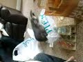 A cat who likes bags :D