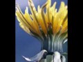 DEEP NIGHT WALKER HOUSE CLUP THE 2...wmv