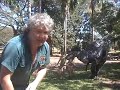 Erth Petting Zoo Sydney Childrens Festival October 7th-11th